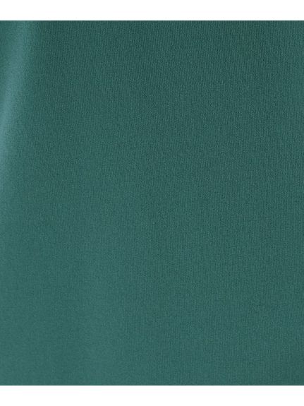 【新色登場！/きれいめ派ニットT/洗える】フレンチスリーブ Tシャツライクサマーニット（ニット・セーター）INDIVI（インディヴィ）  39