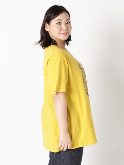 【Alinoma】【3-10L】綿100%！リボンプリントTシャツ 大きいサイズ レディースTasha ruby(ターシャルビー (3Lー8L