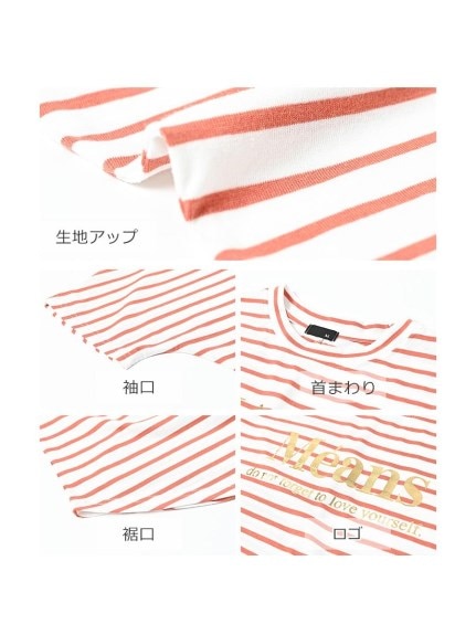 ボーダー×大人ゴールドロゴの半袖Tシャツ　大きいサイズ レディース（Tシャツ）JANJAM（ジャンジャン　コレクション (Lー8L)）  12