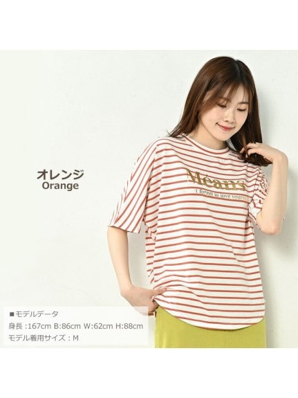 ボーダー×大人ゴールドロゴの半袖Tシャツ　大きいサイズ レディース（Tシャツ）JANJAM（ジャンジャン　コレクション (Lー8L)）  01