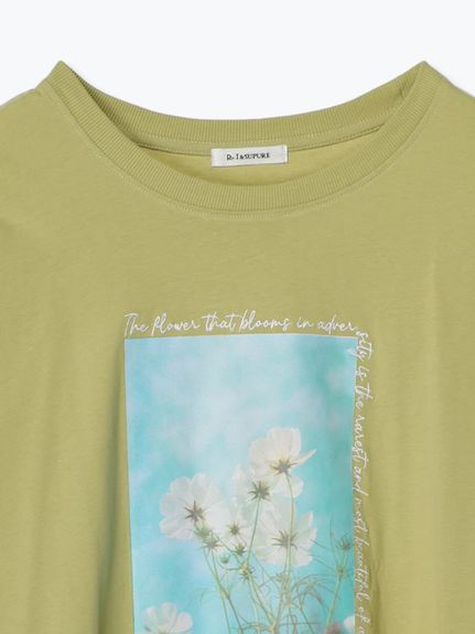【接触冷感】転写刺繍Tシャツ（カットソー・プルオーバー）Re-J&supure（リジェイアンドスプル）  09