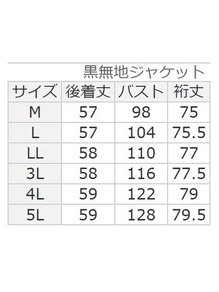 【入学式・卒業式】【動画】2ジャケット4点セットワンピーススーツ 大きいサイズレディース（スーツセット）Viola e Viola（ヴィオラエヴィオラ）  34