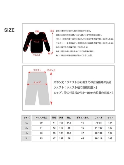 半袖ジャケット+エレガントショートパンツのサマースーツ　大きいサイズ レディース（スーツセット）sanmaru（サンマル）  25