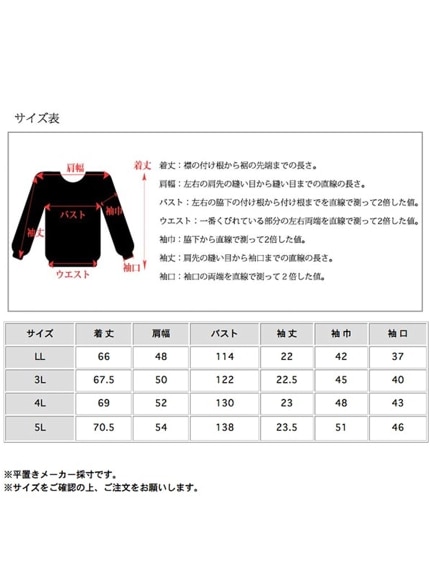 大人カジュアル！ラウンドネック 胸ロゴデザイン 半袖Ｔシャツ　大きいサイズ レディース（Tシャツ）sanmaru（サンマル）  26