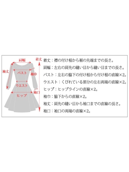 半袖ホワイトTシャツ+肩紐ジャンパースカート セットアップ　大きいサイズ レディース（ジャンパースカート）sanmaru（サンマル）  07