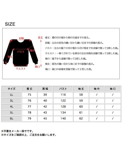 レザーフラワーモチーフ付きオーバーシルエットジャケット　大きいサイズ レディース（テーラードジャケット）sanmaru（サンマル）  14