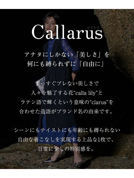 【大きいサイズ / 結婚式・パーティードレス】レース切替ワンピースドレス（Callarus）（パーティドレス・ワンピース）Callarus（カラルス）  02