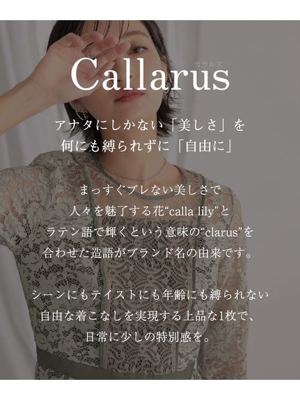 【大きいサイズ / 結婚式・パーティードレス】＜Callarus＞パネルレースワンピースドレス（パーティドレス・ワンピース）Callarus（カラルス）  02