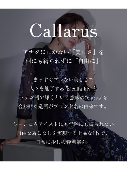 【大きいサイズ】【結婚式・パーティー・オケージョンドレス】＜Callarus＞Switching Front Embroidery Lace Onepiece Dress（パーティドレス・ワンピース）Callarus（カラルス）  02