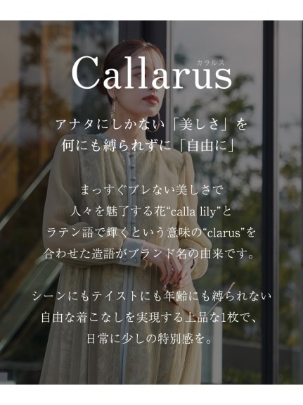 【大きいサイズ】【結婚式・パーティー・オケージョンドレス】＜Callarus＞Flower Printed Tulle Onepiece Dress（パーティドレス・ワンピース）Callarus（カラルス）  02