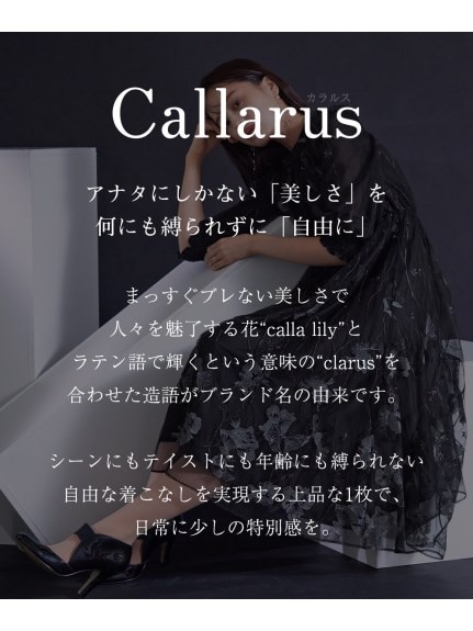 【大きいサイズ】【結婚式・パーティー・オケージョンドレス】＜Callarus＞Embroidery Lace Design One Piece Dress（パーティドレス・ワンピース）Callarus（カラルス）  02