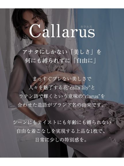 【大きいサイズ／結婚式・パーティー・オケージョンドレス】フロント刺繍使い袖チュールデザインワンピースドレス（Callarus）（パーティドレス・ワンピース）Callarus（カラルス）  02