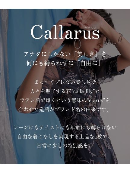 【大きいサイズ／結婚式・パーティー・オケージョンドレス】刺繍使いデザインワンピースドレス（Callarus）（パーティドレス・ワンピース）Callarus（カラルス）  02