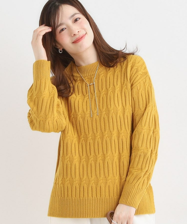 【洗える/毛玉レス】シンプルケーブル柄ニット1