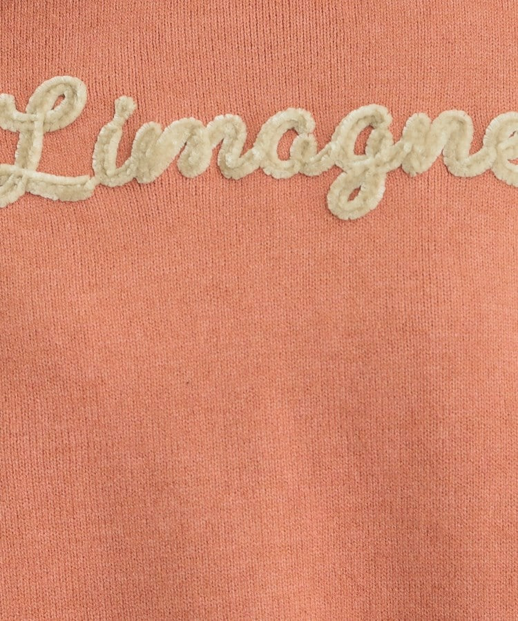 柔らかくフワフワした風合いがやみつきに スウェットライクロゴニット13