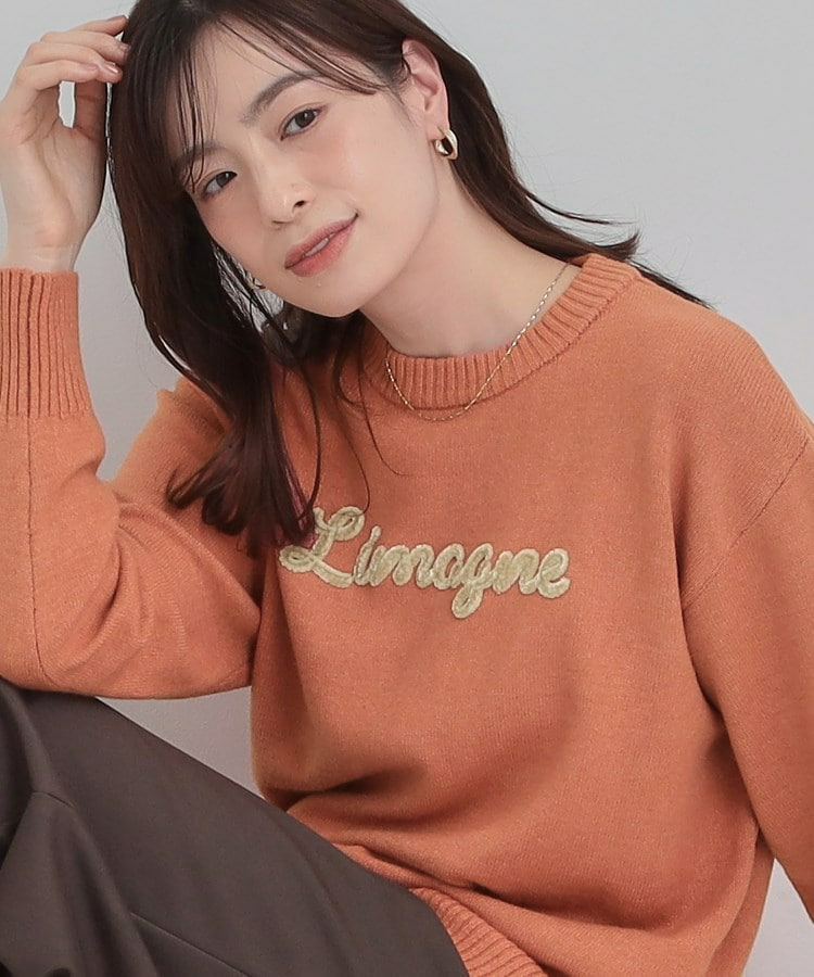 柔らかくフワフワした風合いがやみつきに スウェットライクロゴニット1