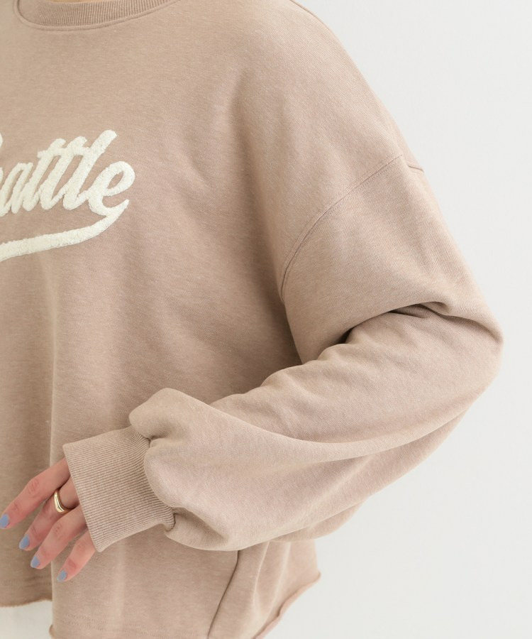 サガラ刺繍アソート裏毛スウェット22