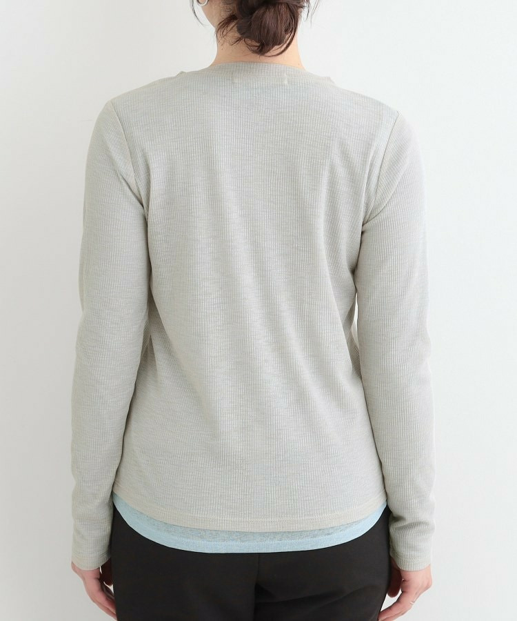 【2点セット/洗濯機可/S-LL】こなれ感あるレイヤードスタイルが即完成 シアーカーディガン+ロンT22