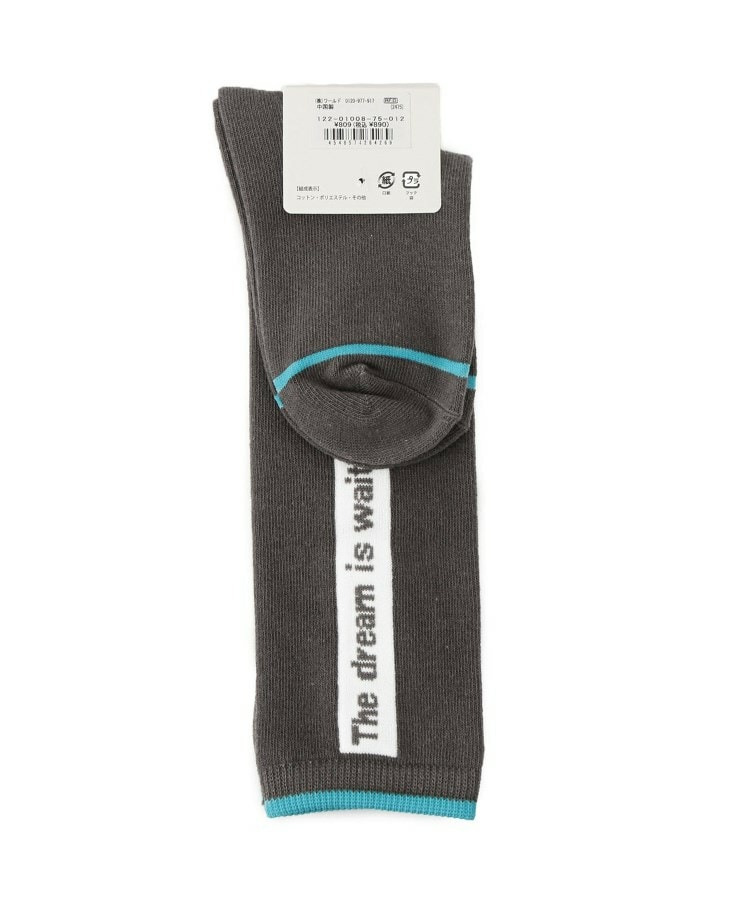 ボックスロゴハイソックス3