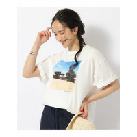 【洗える/プチプラ/綿100％】グラフィック半袖ゆるTシャツ