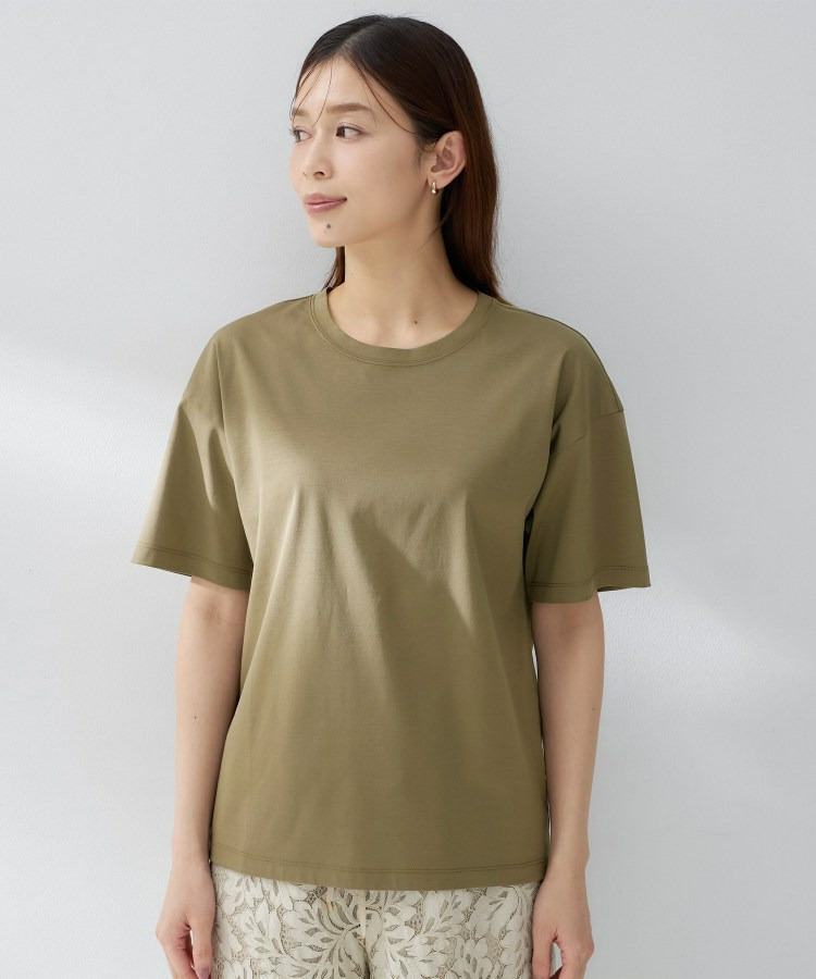 コットンベーシックカットソー15