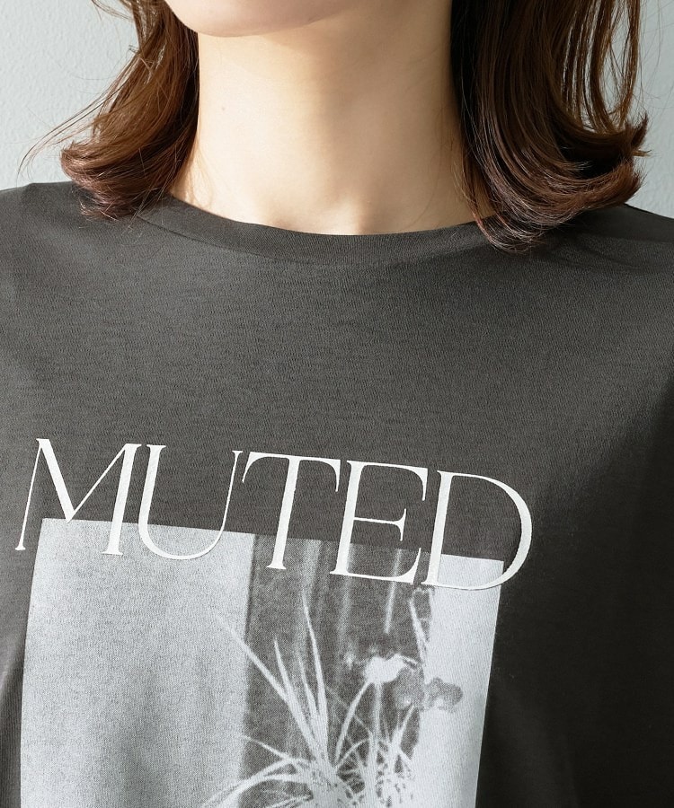 フォトグラフィックロンT14