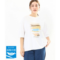 25年春新作【大きいサイズ】コットンプリントTシャツ