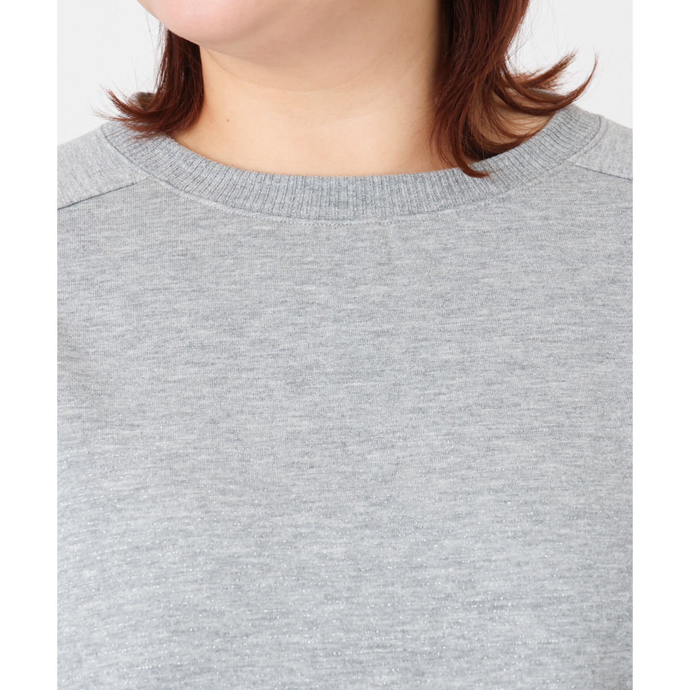 25年冬新作【大きいサイズ/a.v.v×eur3】ラメ裏毛スウェットプルオーバー16