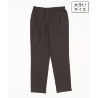 26年秋新作【シリーズ累計販売2万枚！/大きいサイズ】さらさらストレッチテーパードパンツ