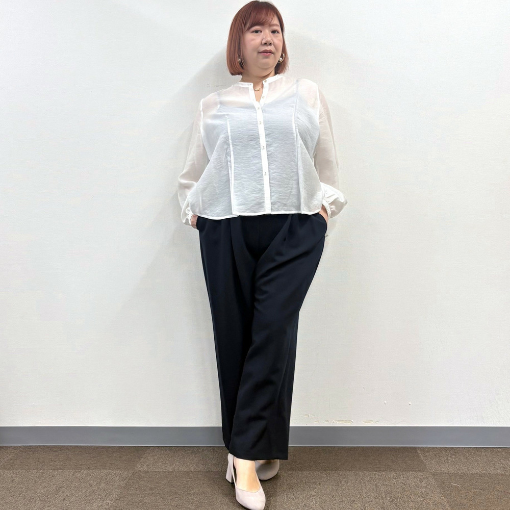 【LL・3L】バックペプラムシアーブラウス12