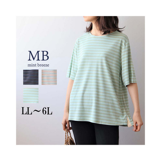【タイムセール】ライトポンチ ボーダー 半袖 Tシャツ カットソー【アリノマ/Alinoma】 【タイムセール】ライトポンチ ボーダー 半袖 Tシャツ カットソー【アリノマ/Alinoma】