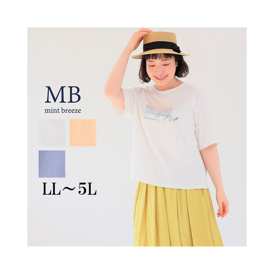 コットン天竺 フォトTシャツ カットソー【アリノマ/Alinoma】 コットン天竺 フォトTシャツ カットソー【アリノマ/Alinoma】
