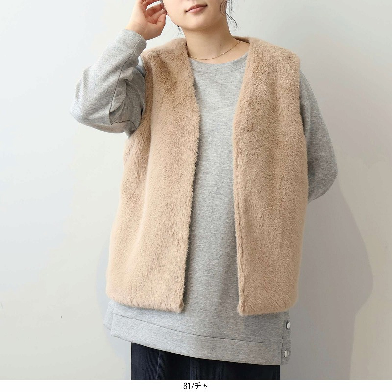 エコファージレ1