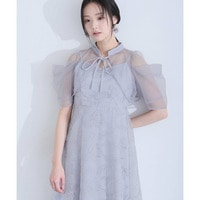 シアーレースロングドレス