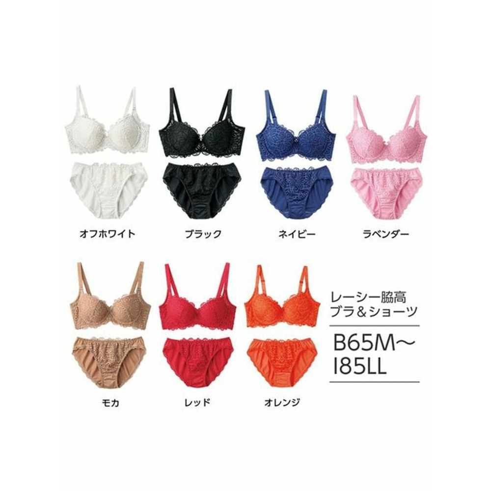 【B⇒I/85~85】レーシー脇高スッキリブラジャー＆ショーツ　大きいサイズ 下着26