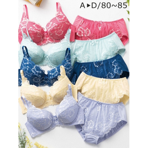 【A⇒D/80~85】グッドプライスブラジャー＆ショーツ　大きいサイズ 下着【アリノマ/Alinoma】