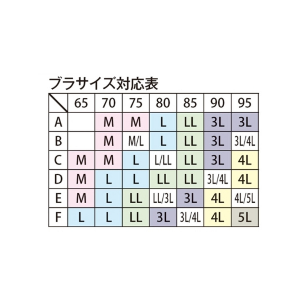 ＜2枚組＞肌側起毛あったかいＳｕ－ｐｉｔａ（スーピタ）ブラ（ノンワイヤー）　大きいサイズ 下着10