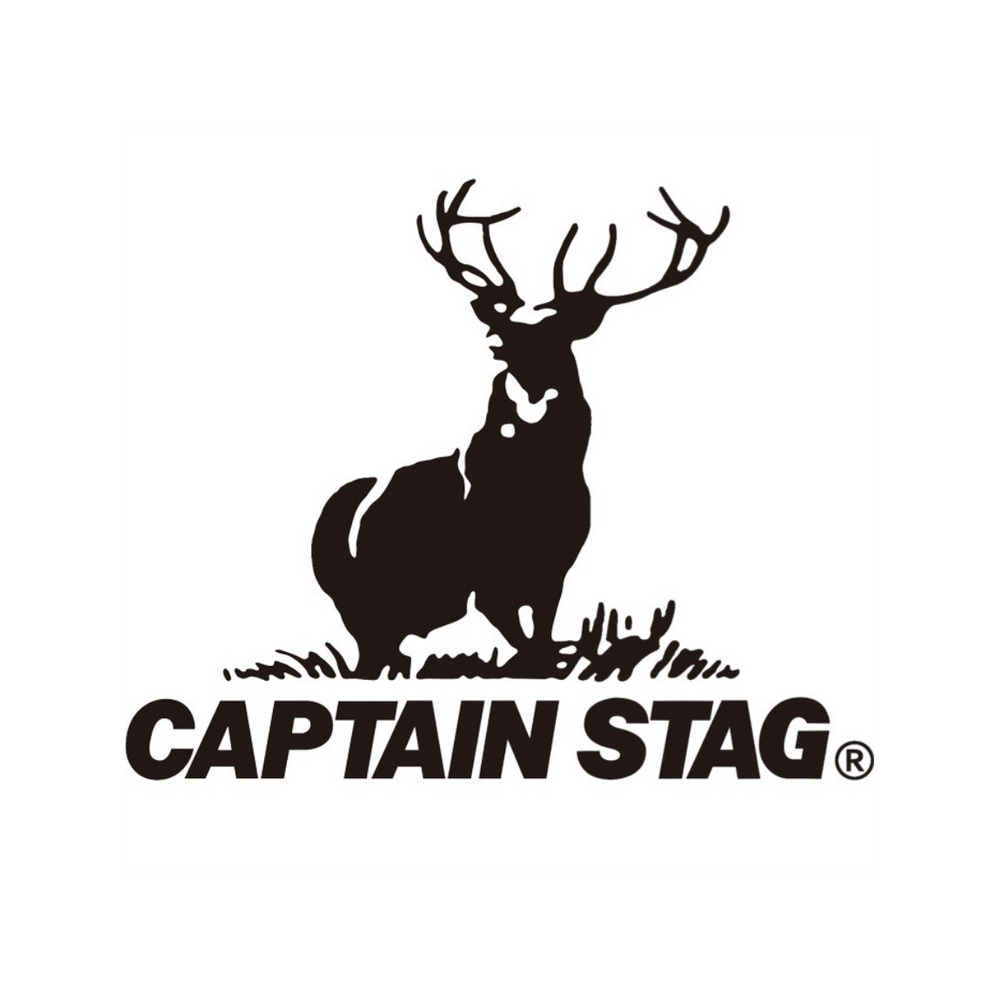 ＜ＣＡＰＴＡＩＮ　ＳＴＡＧ＞綿１００％エンボス加工Ｔシャツ　大きいサイズ レディース5