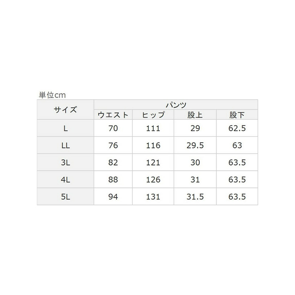 楽ちんキレイ！美人セット（アンクル丈）　大きいサイズ レディース24