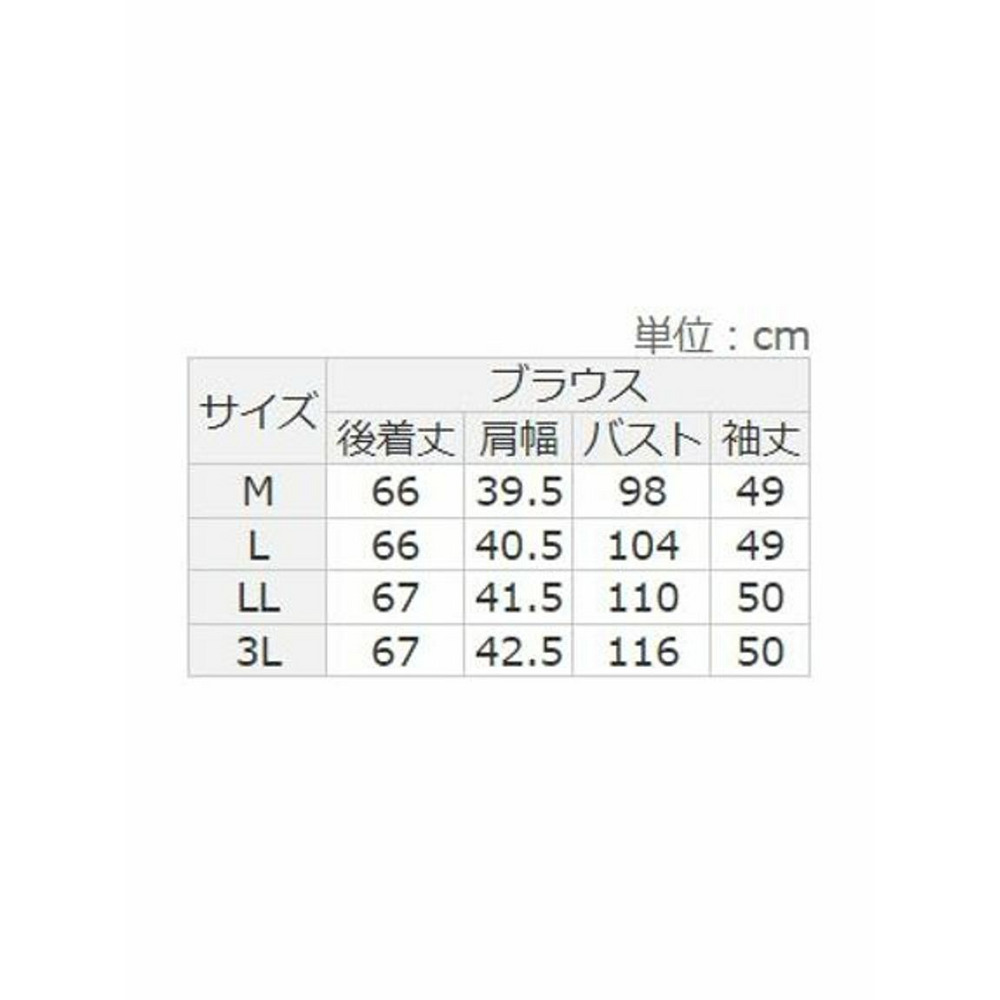 洗える！楽ちん多機能ブラウスセットアップ　大きいサイズレディース21