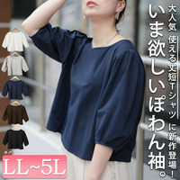 大きいサイズ レディース クロップド丈ランタンスリーブTシャツ