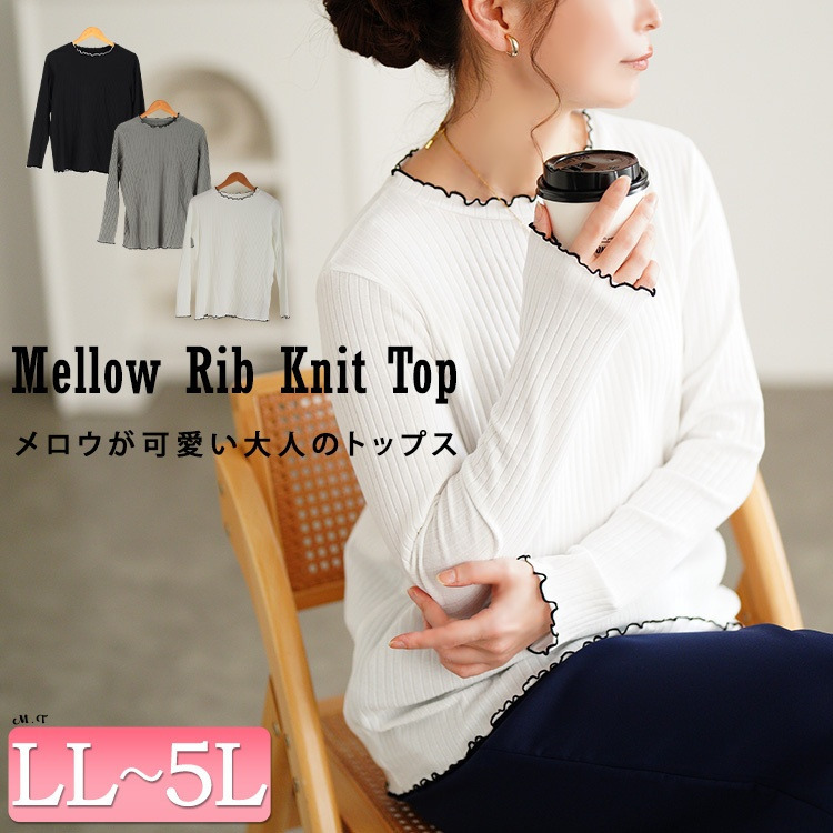 大きいサイズ レディース 配色メロープチハイネックリブトップス