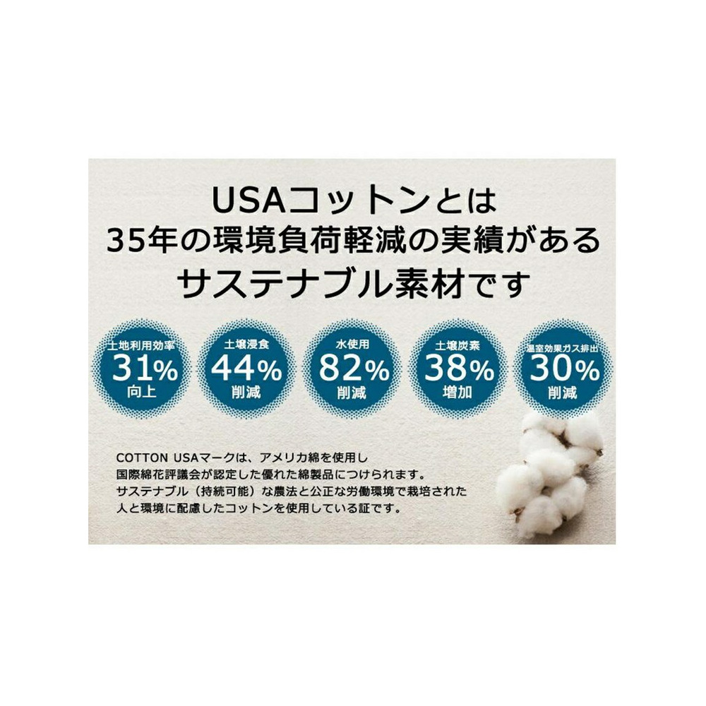 環境にもお肌にも優しいUSAコットン100%長袖プルオーバー　大きいサイズ レディース5