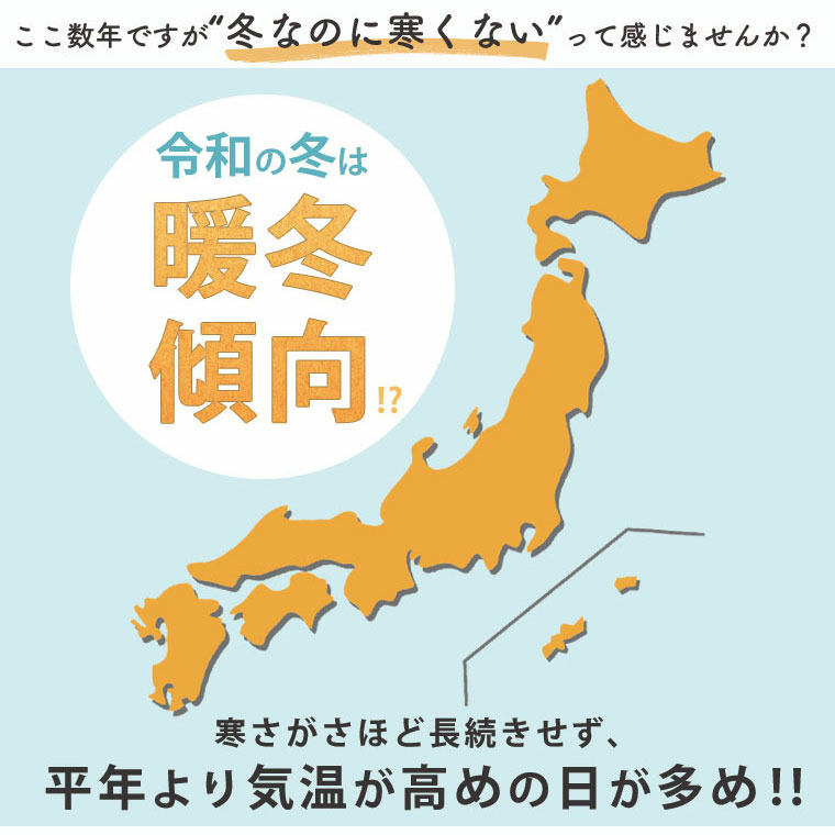 【ちょい温シリーズ】 美人に体型カバー ラウンドネック リブ チュニック10