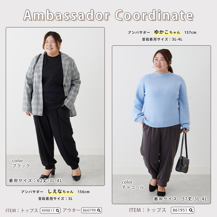 極暖シャギーで下半身の冷え防止! 裏起毛 裏シャギー ジョガー18