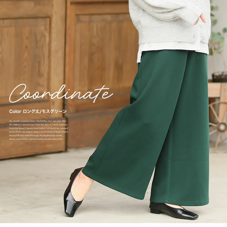 スゴ!裏ワザ! 冬でも汗さら なめらか&蒸れ知らず 2丈から選べる ゆるワイドパンツ ストレートパンツ17