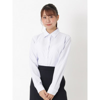 ［洗える］シャツ ブラウス(ストライプ柄)/ 大きいサイズ 長袖 事務服 オフィス アイトス HCB4001