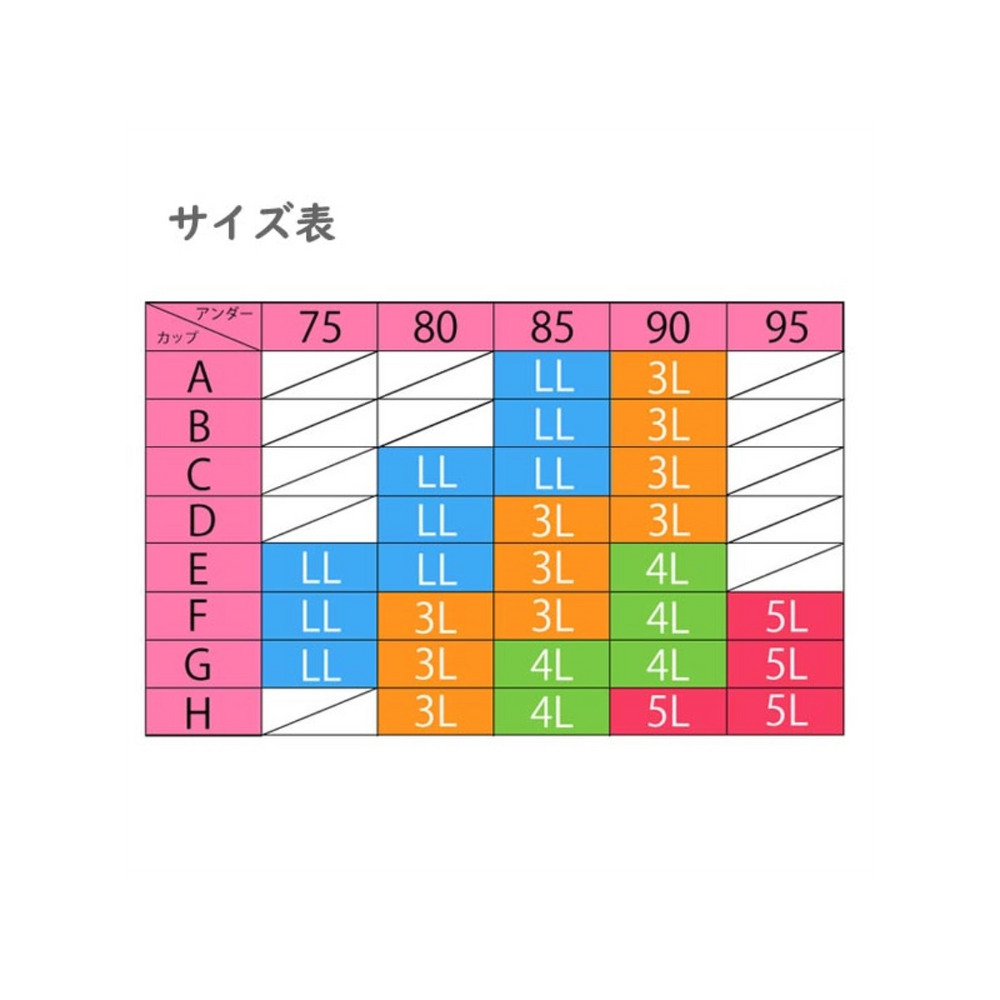 高めのサイドボーンで安定感のあるノンワイヤー　大きいサイズ 下着15