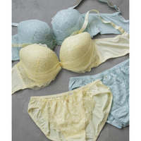 脇高ヴェールレーシーブラジャー＆ショーツセット