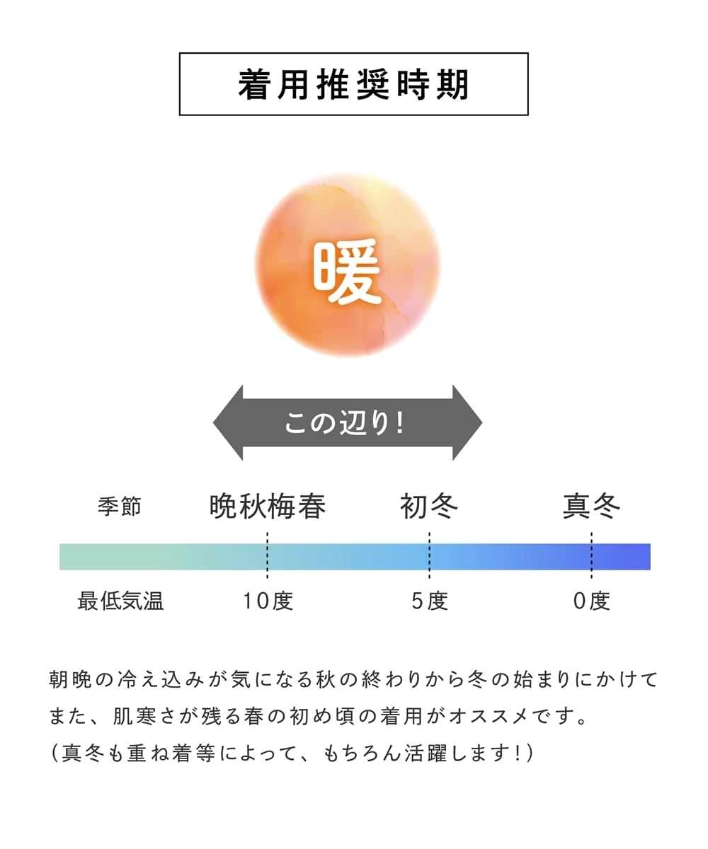 【あったか裏地付】シフォン前タックブラウス 大きいサイズ17